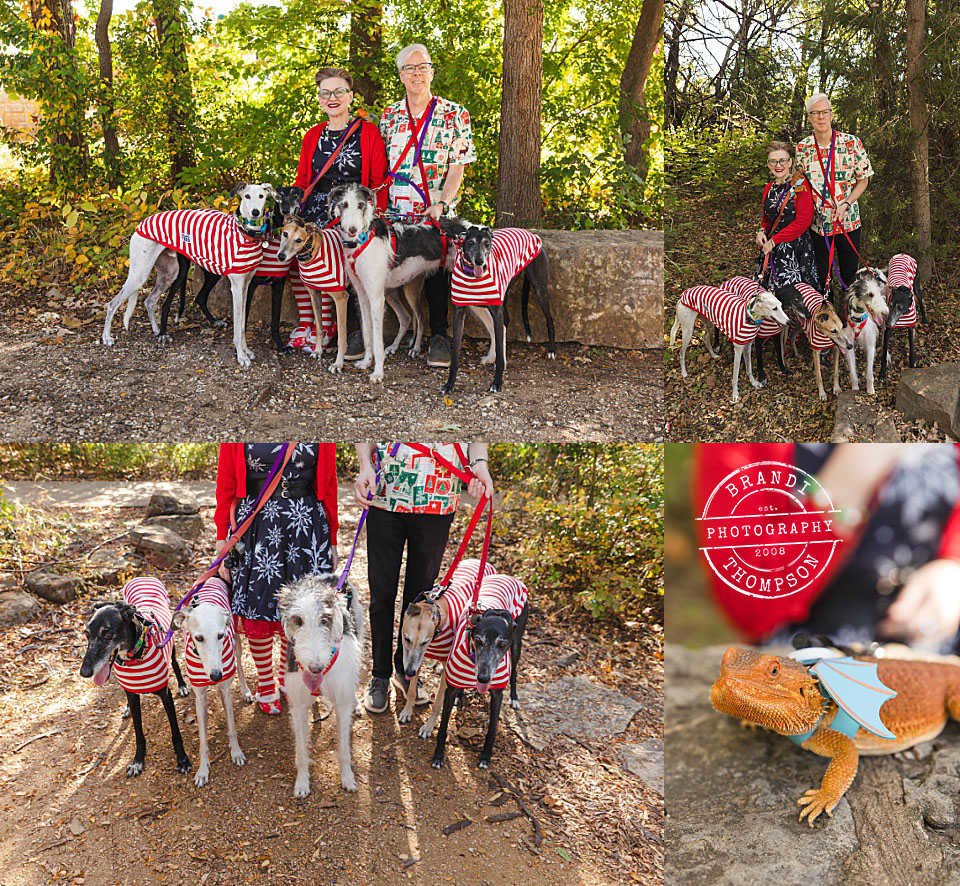 collage of outdoor photos with a man and woman and five dogs, plus a bearded dragon. Everyone is dressed in holiday themed clothing. plano family session